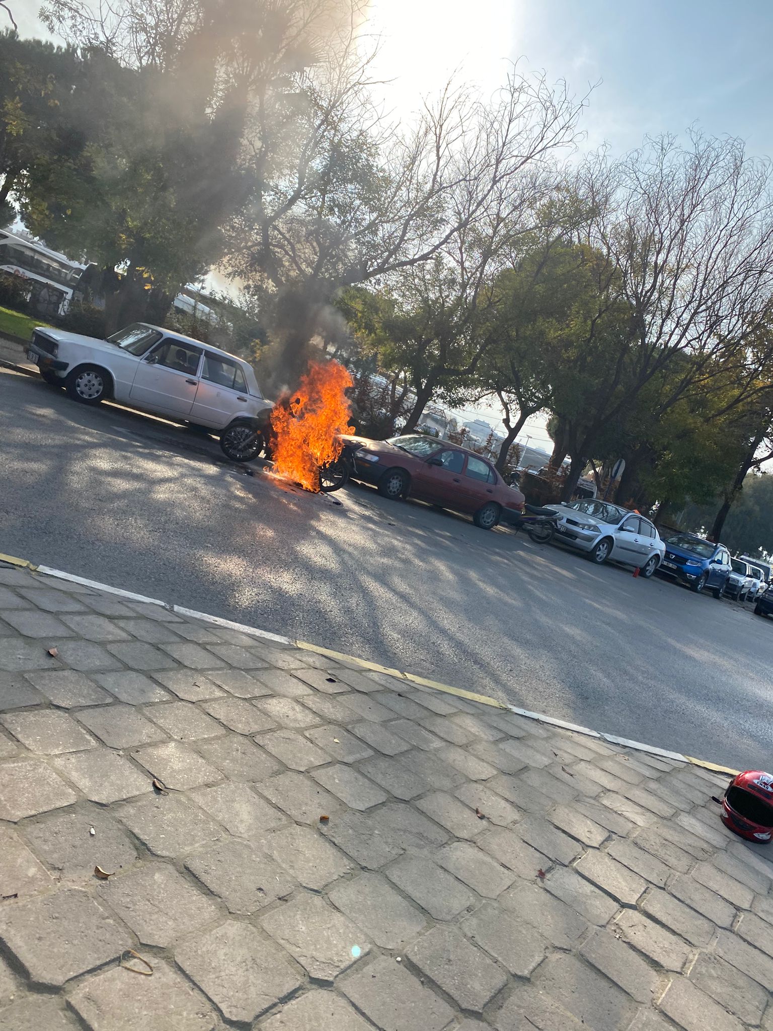 F3C56D81 1C04 4920 8Afe 64B1De02234A