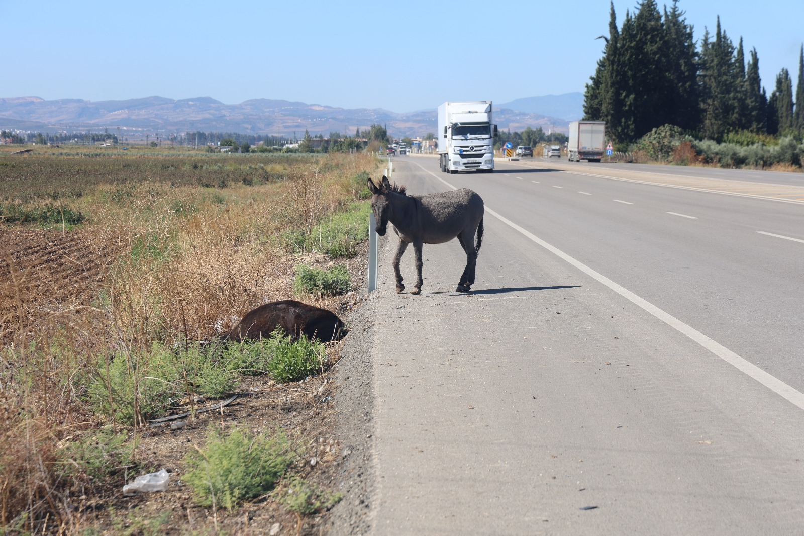 Gitmedi Agladi Bekledi Annesinin Cansiz Bedeninin Basindan Ayrilmadi-1