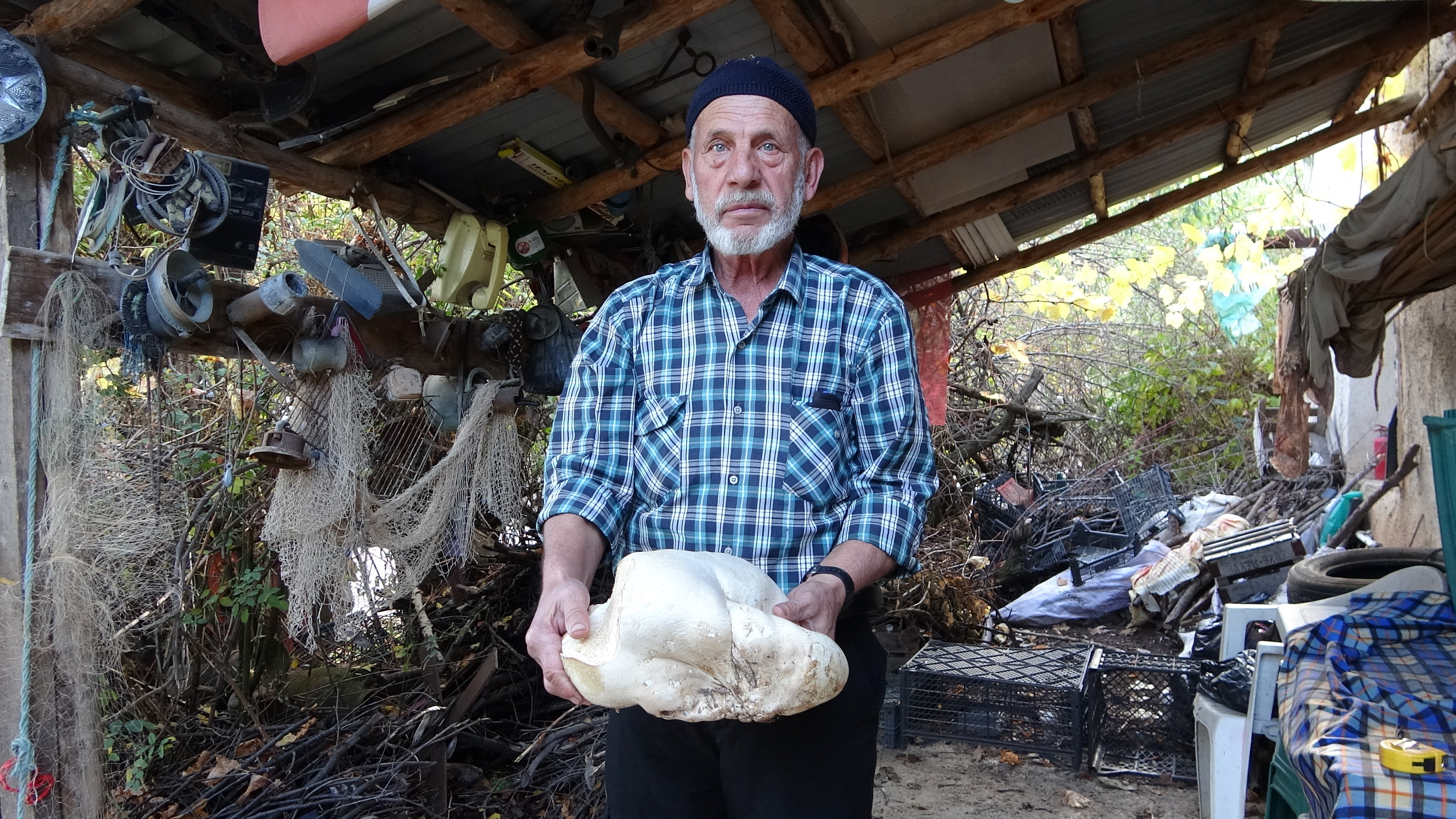 Gören Fotoğraf Çekmeden Geçemiyor 70 Yaşındaki Adam Ormanda 3 Kilo Dev Mantar Buldu (2)
