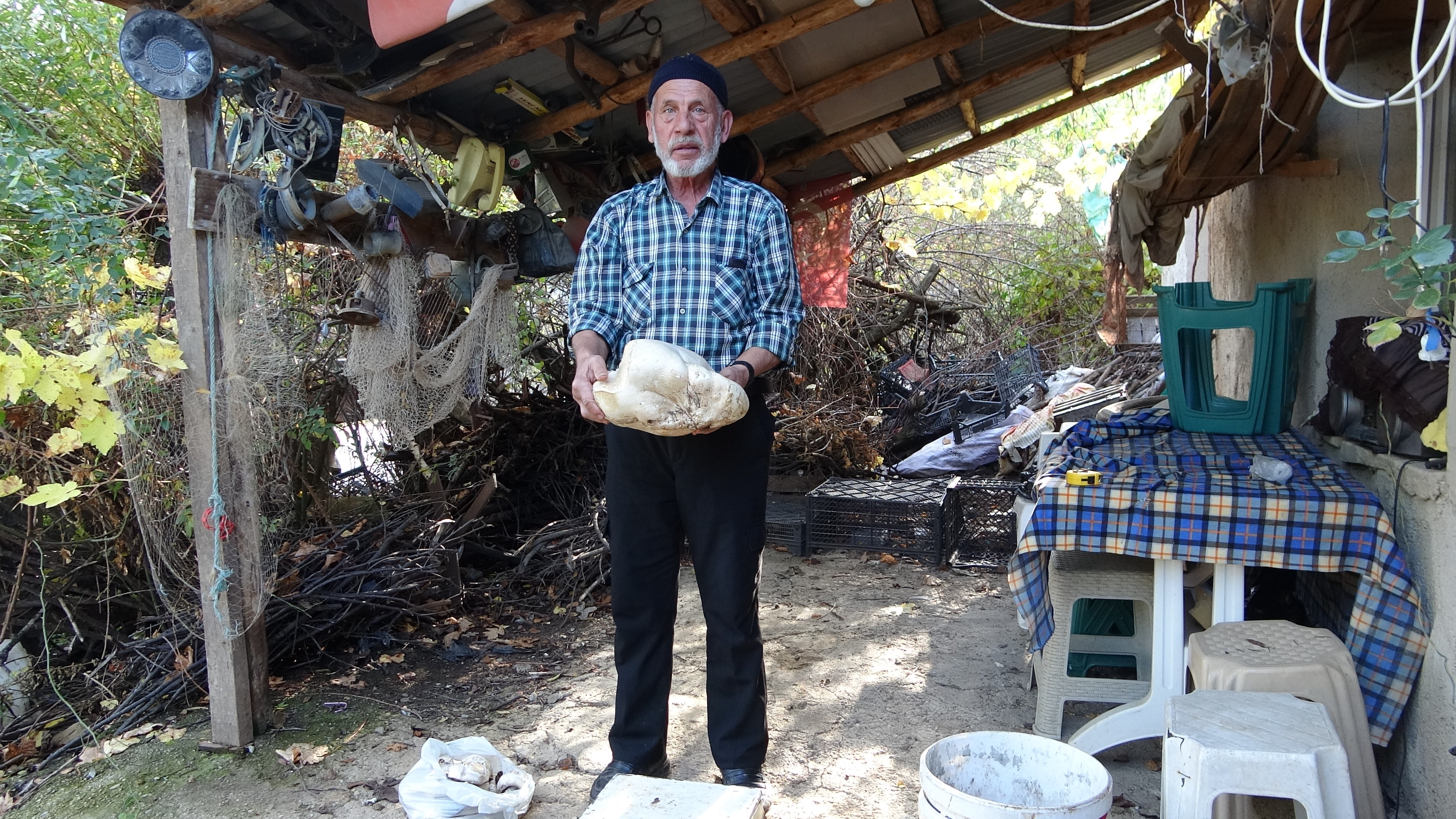 Gören Fotoğraf Çekmeden Geçemiyor 70 Yaşındaki Adam Ormanda 3 Kilo Dev Mantar Buldu (3)