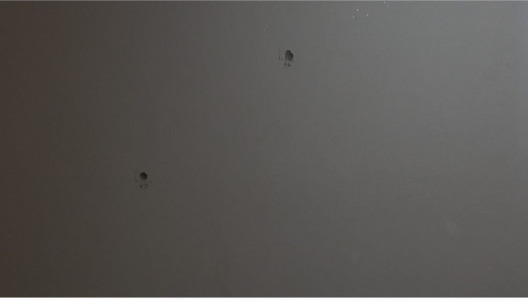 Husumetli Aileler Birbirine Kurşun Yağdırdı! 1 Kişi Öldü, 8 Kişi Gözaltında (4)