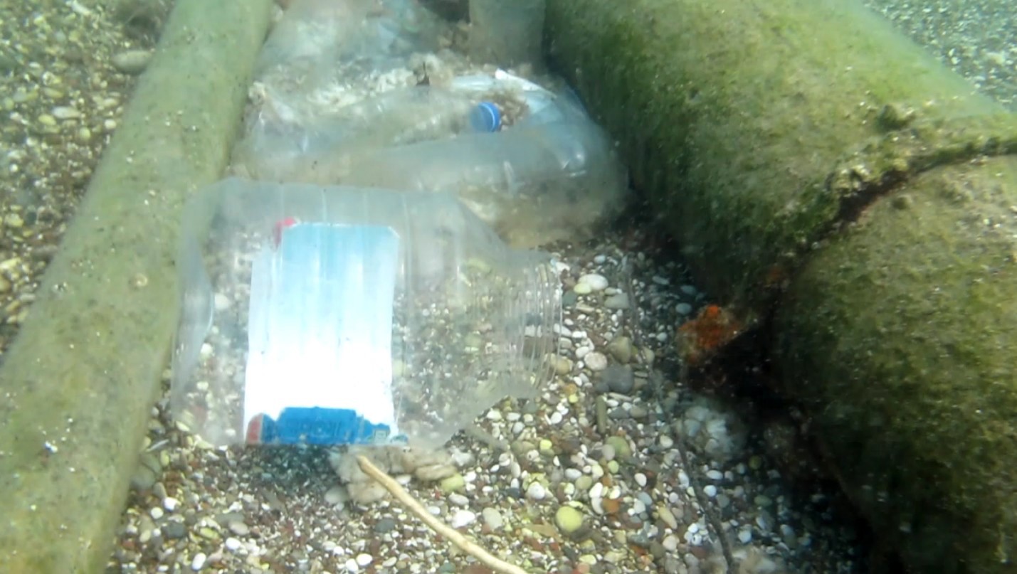 Ilk Yagmurla Ortaya Cikti Denizin Dibinde Pamuk Tarlasi Gibi Acildi 05