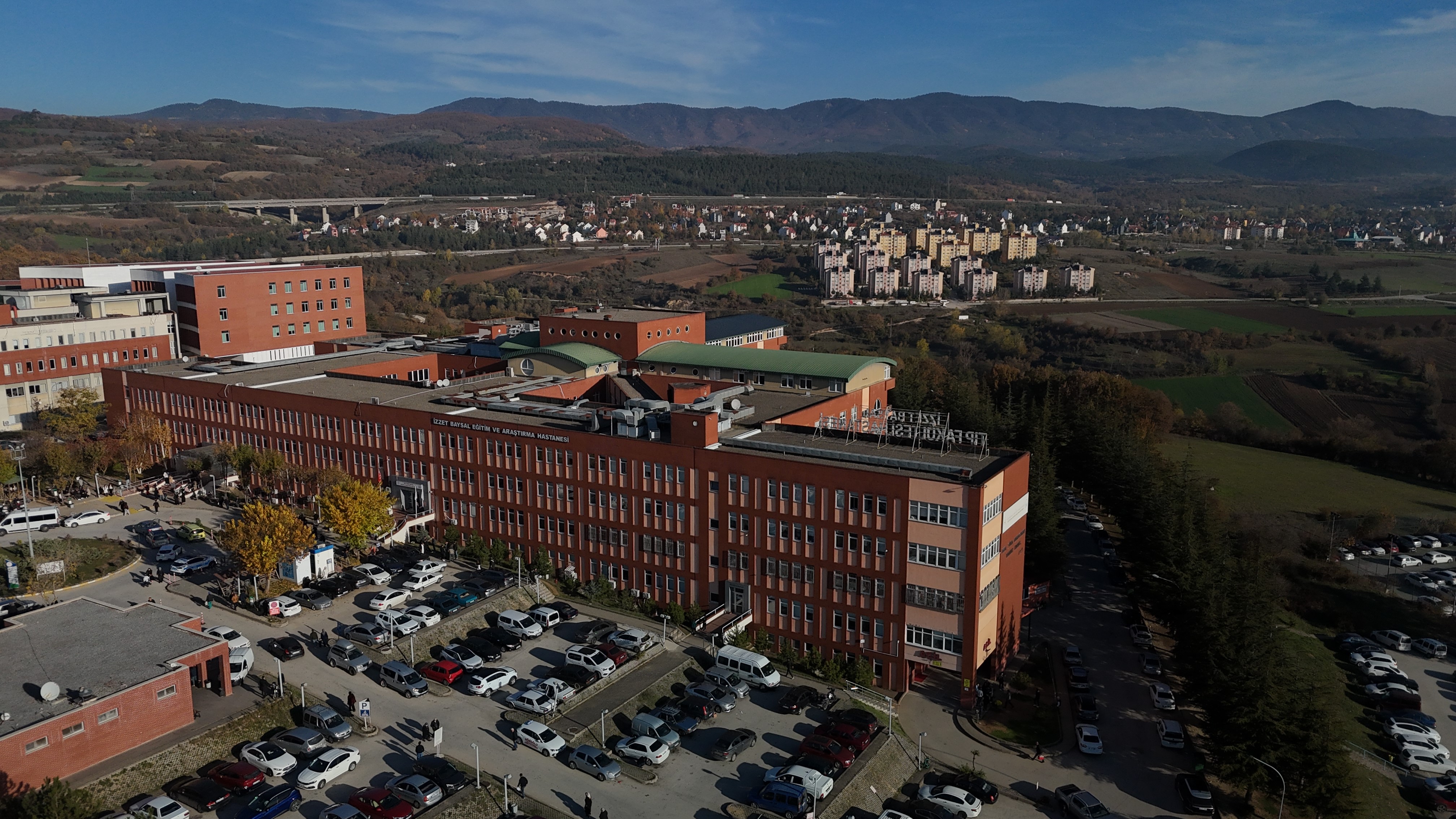 İşe Gitmeyince Gerçek Ortaya Çıktı! Topladığı Mantar Hayatını Kararttı (3)