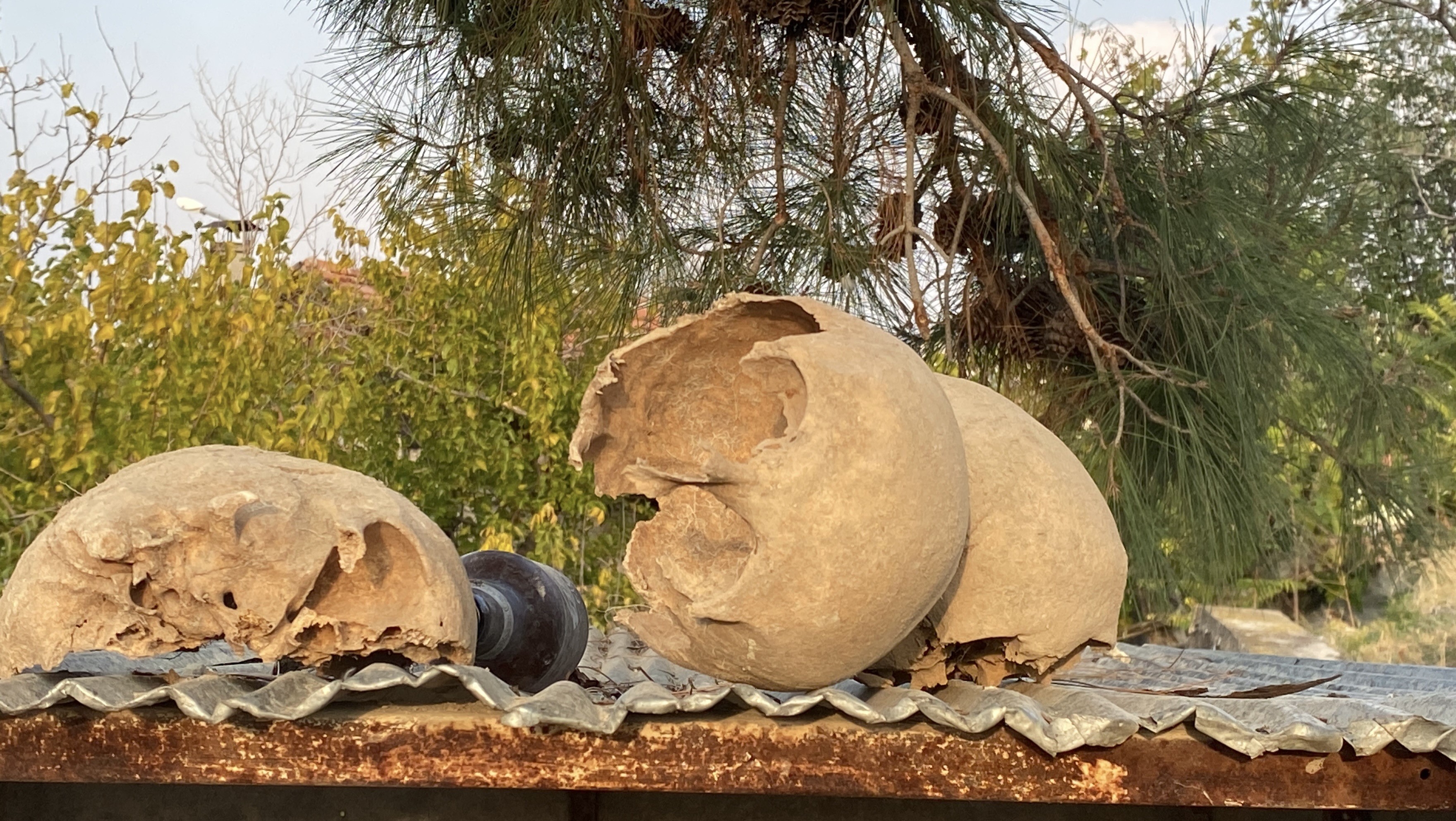 İstinat Duvarı Kazısında Tüyler Ürperten Bulgu! İnsan Kemikleri Bulundu (7)