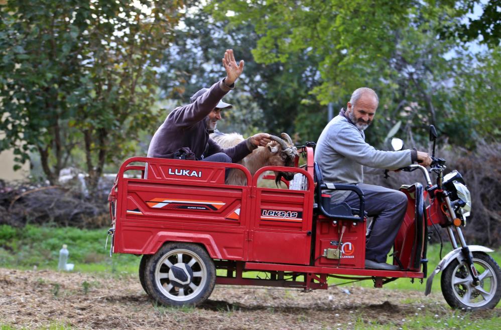 Mahsur Kalan Keçi̇ (2)