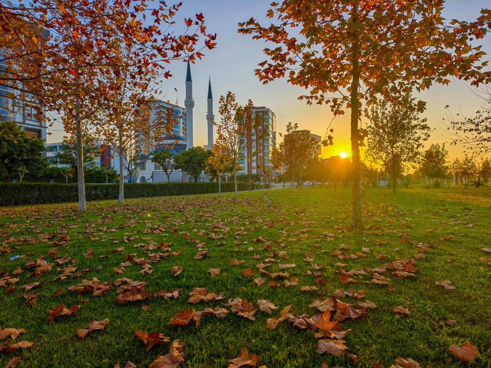 Manisada Buyuleyici Sonbahar (3)