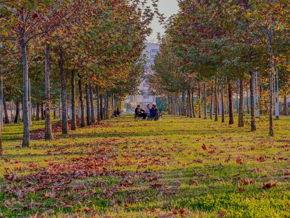 Manisada Buyuleyici Sonbahar (4)