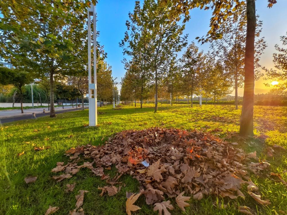 Manisada Buyuleyici Sonbahar (6)