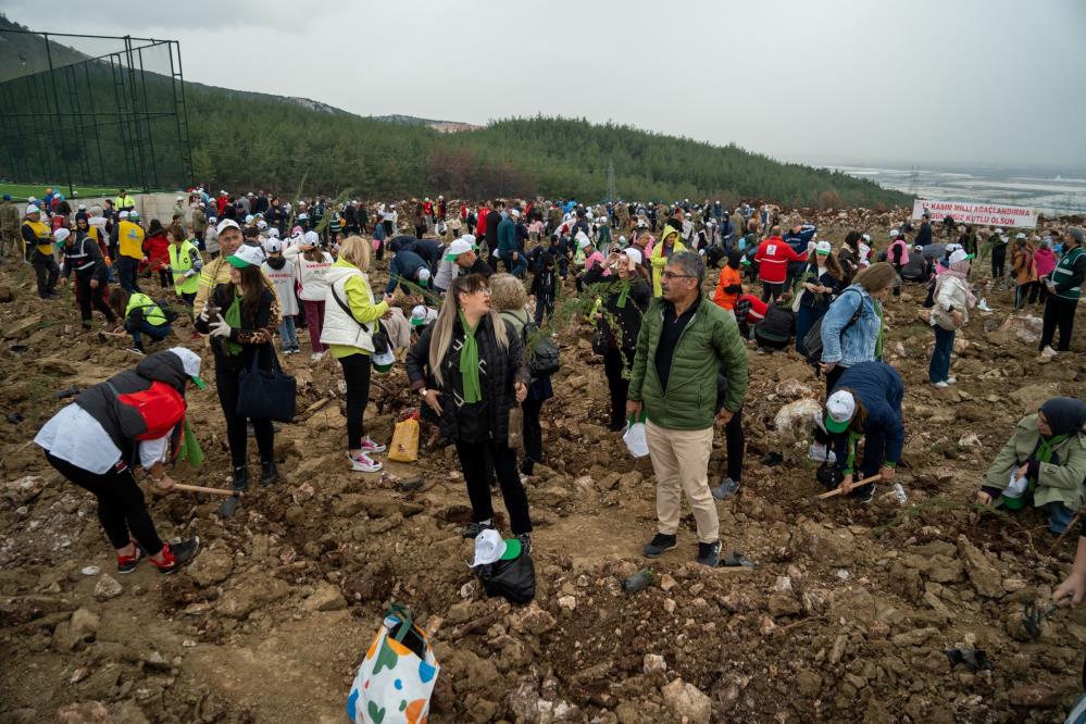 Manisada Minik Eller Yangin Alanlarini Binlerce Fidanla Yesillendirdi (3)