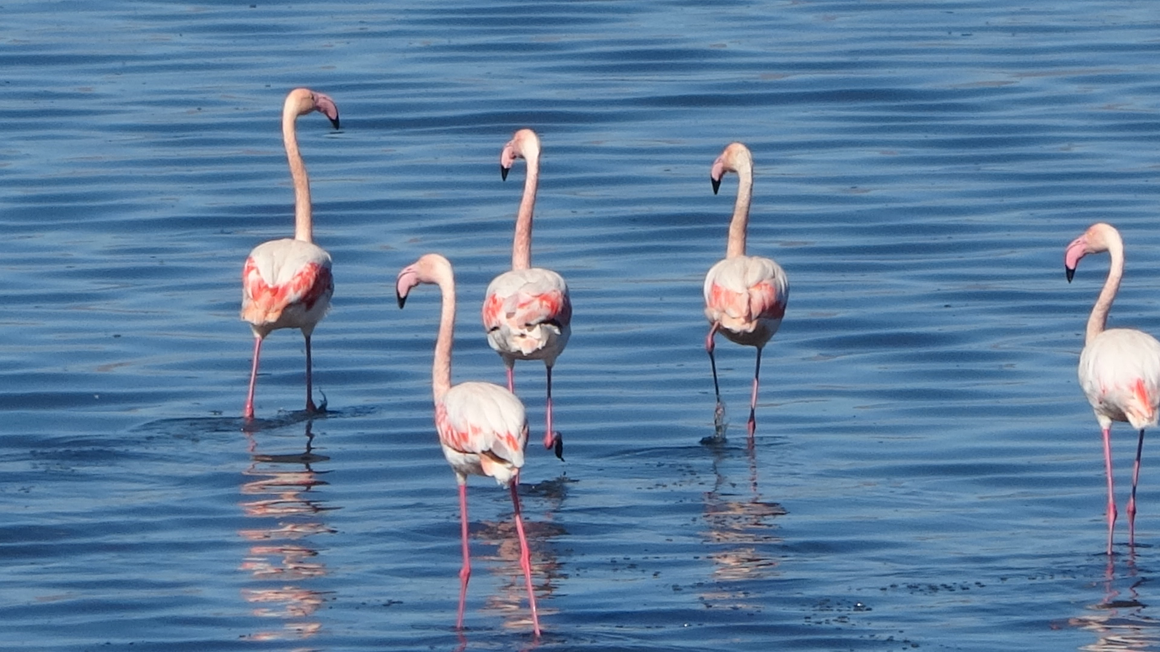 O Golun Kiyilarinda Nefes Kesen Goruntuler (1)