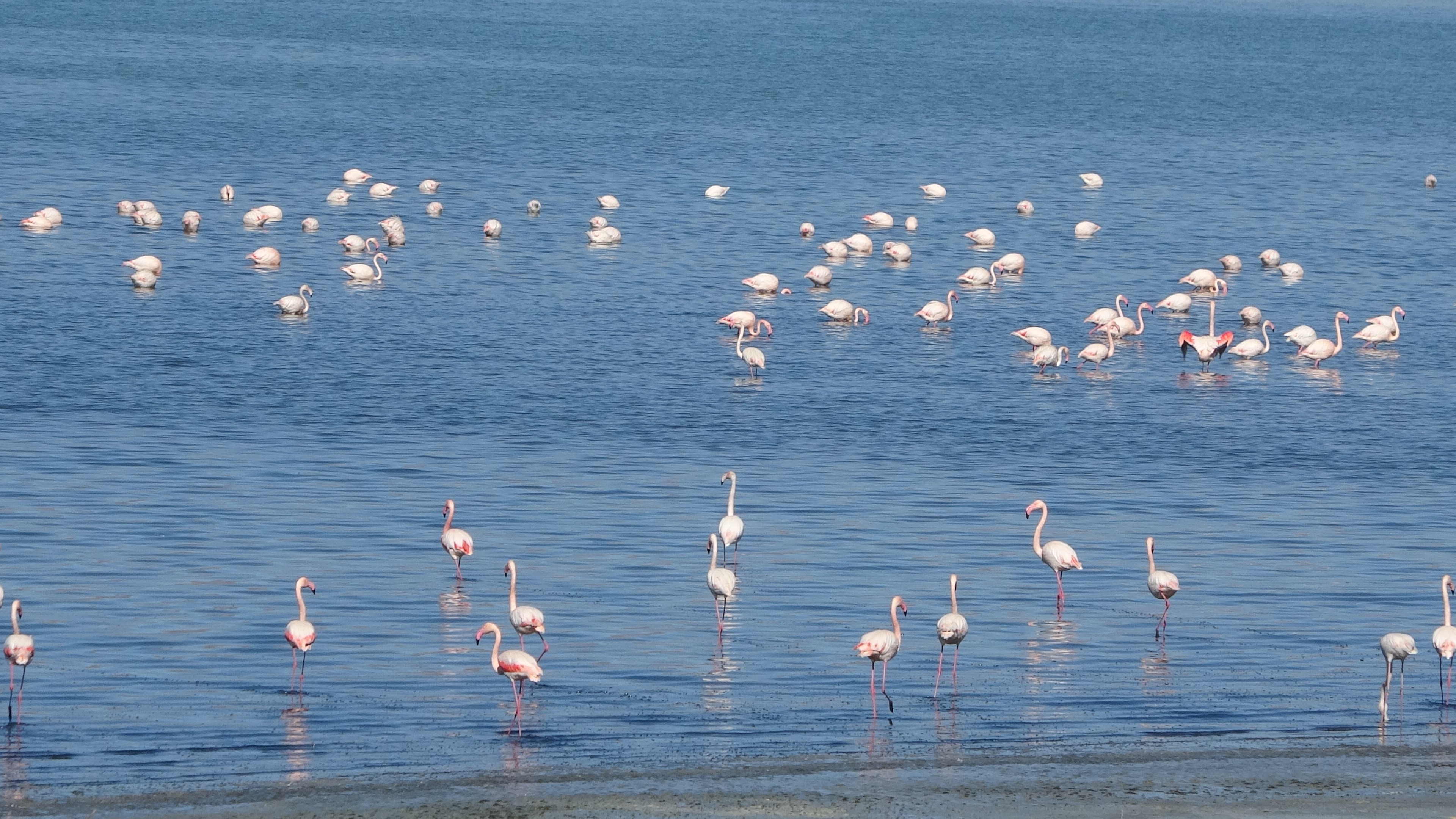 O Golun Kiyilarinda Nefes Kesen Goruntuler (2)