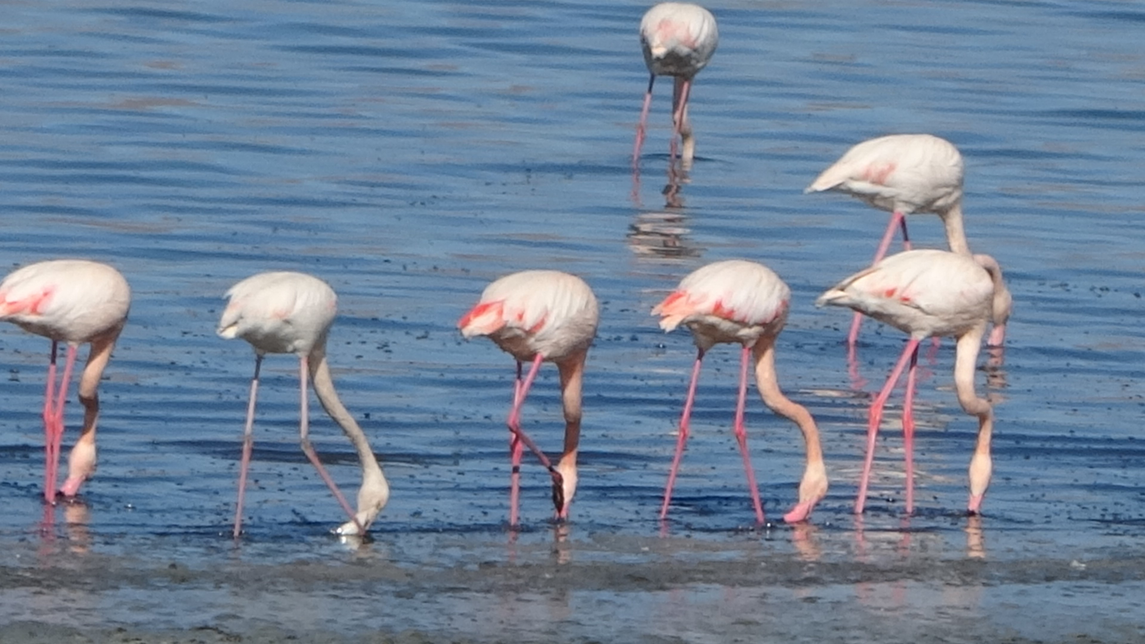 O Golun Kiyilarinda Nefes Kesen Goruntuler (3)