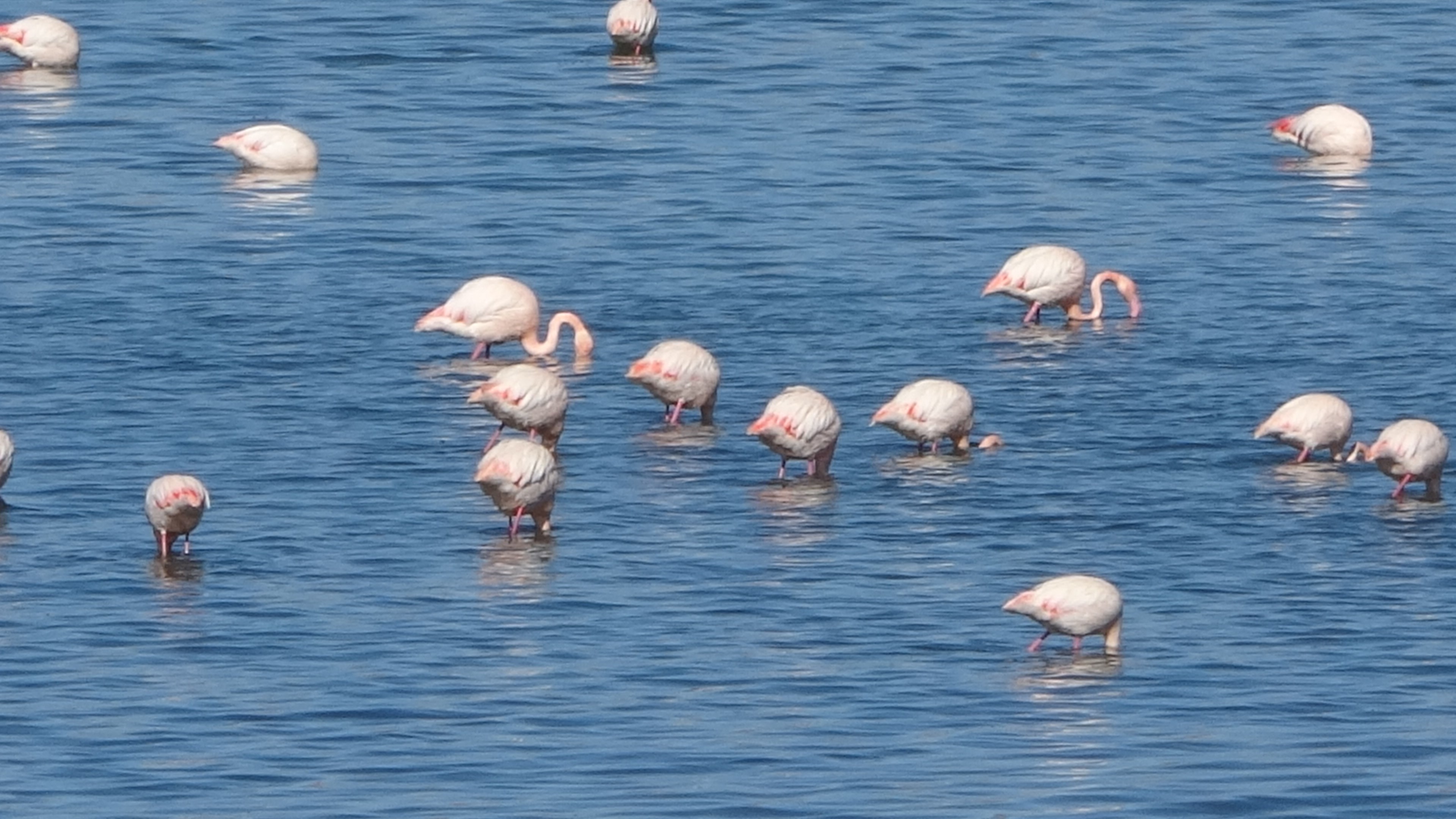 O Golun Kiyilarinda Nefes Kesen Goruntuler (4)