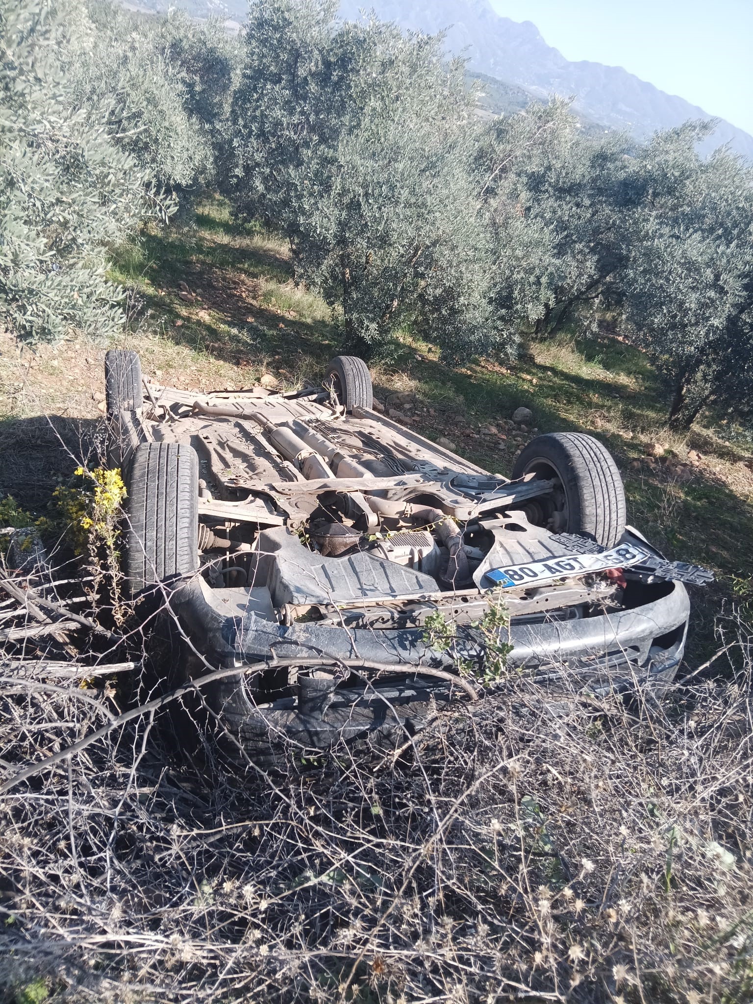 Ogluyla Birlikte Olumden Dondu