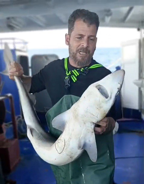 Ornek Davranis Balikci Camgoz Kopekbaligini Denize Geri Birakti 01