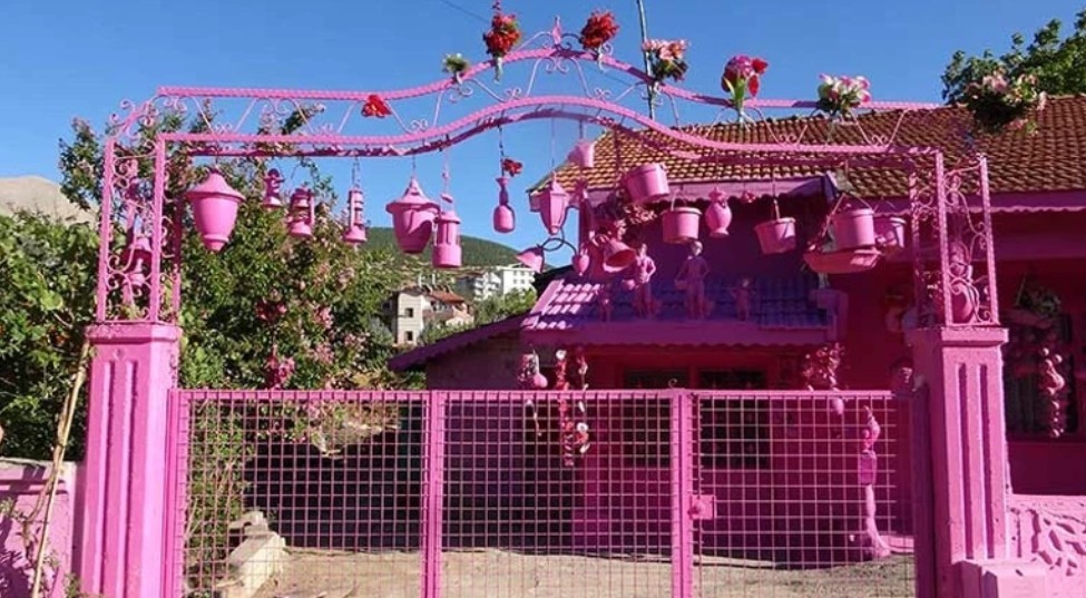 Sakine Teyzenin Pembe Tutkusu Sosyal Medyayi Salliyor Akulu Aracini Pembeye Boyamak Ic (5)