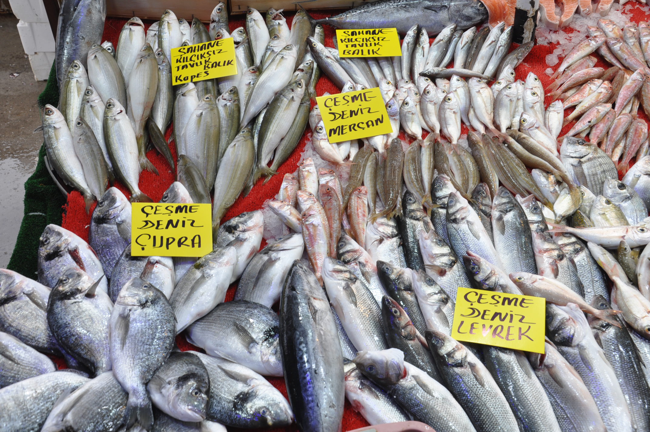 Salihli Çarşamba Pazarı (12)-2