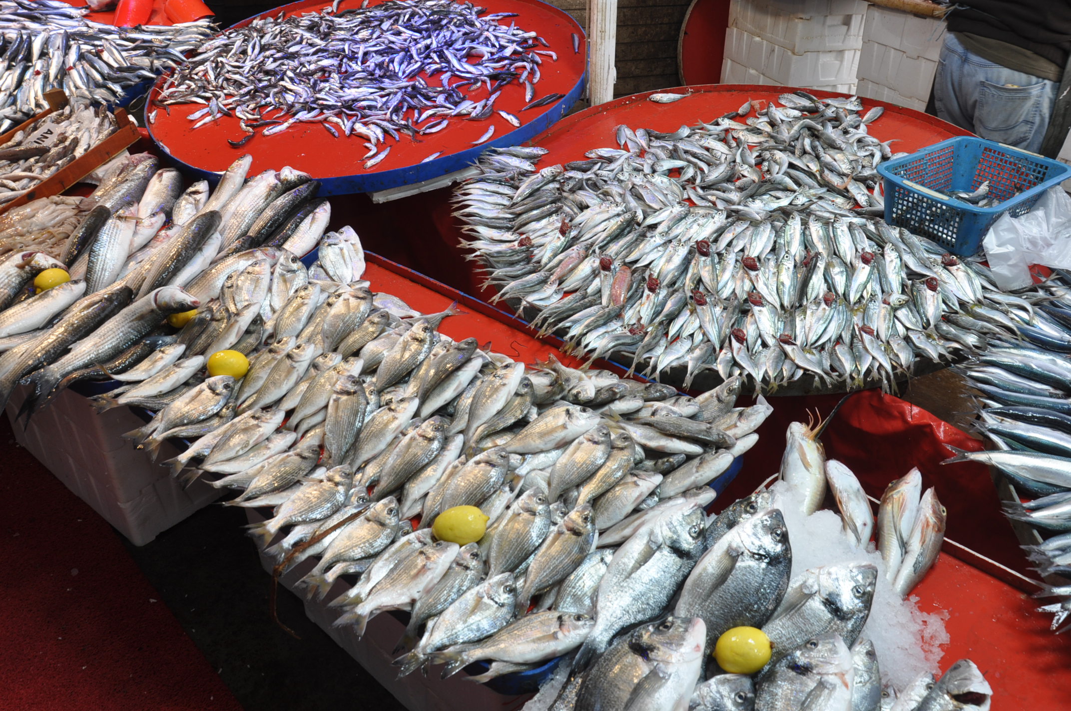 Salihli Pazar Yeri Balıkçı (1)