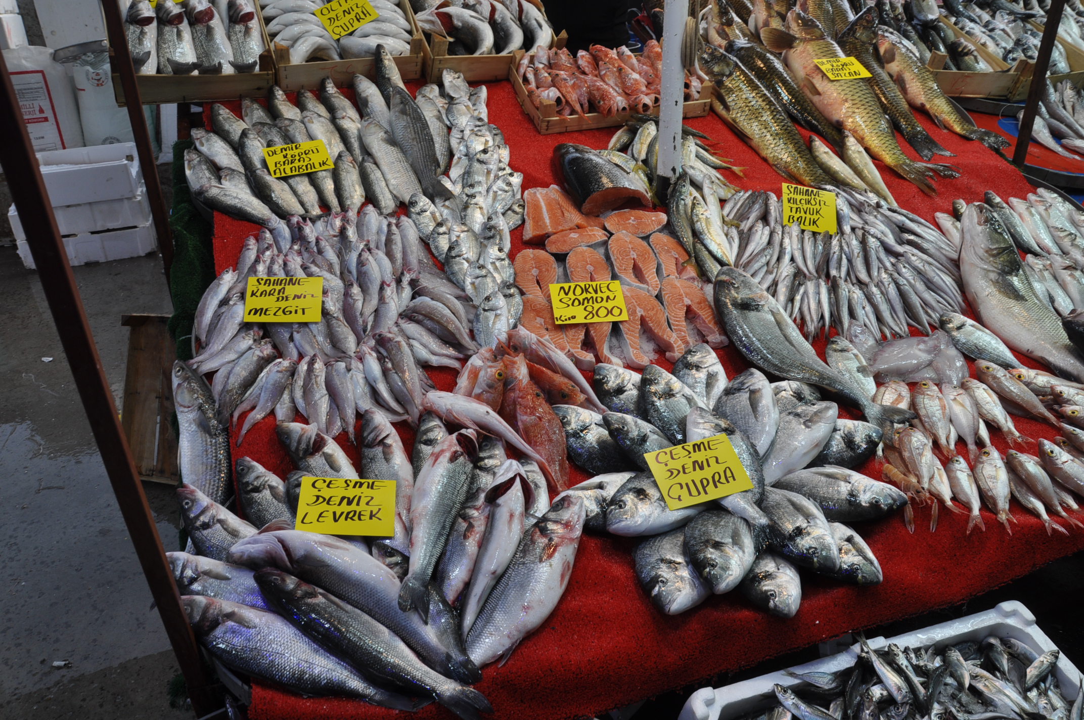 Salihli Pazar Yeri Balıkçı (4)