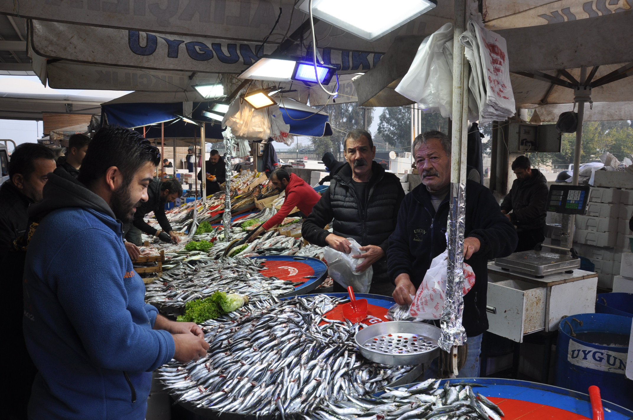 Salihli Pazar Yeri Balıkçı (5)