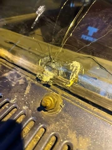 Sanayi Sitesinde Maganda Dehşeti Camı Delip Dükkanın Içine Girdi (2)