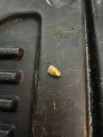 Sanayi Sitesinde Maganda Dehşeti Camı Delip Dükkanın Içine Girdi (3)