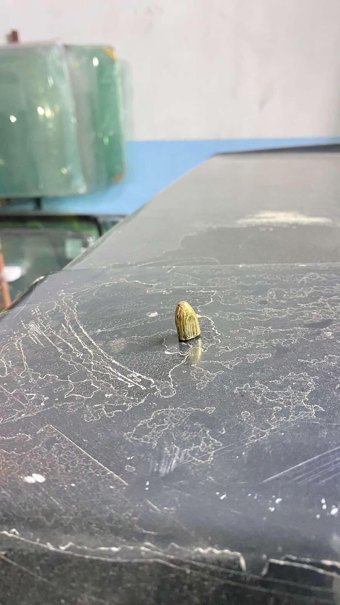 Sanayi Sitesinde Maganda Dehşeti Camı Delip Dükkanın Içine Girdi (4)