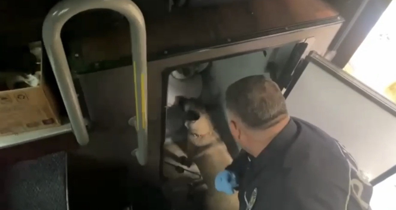 Şehirler Arası Otobüsle Uyuşturucu Sevkiyatı Tuvaletten 2 Kilo Metamfetamin Çıktı! (7)