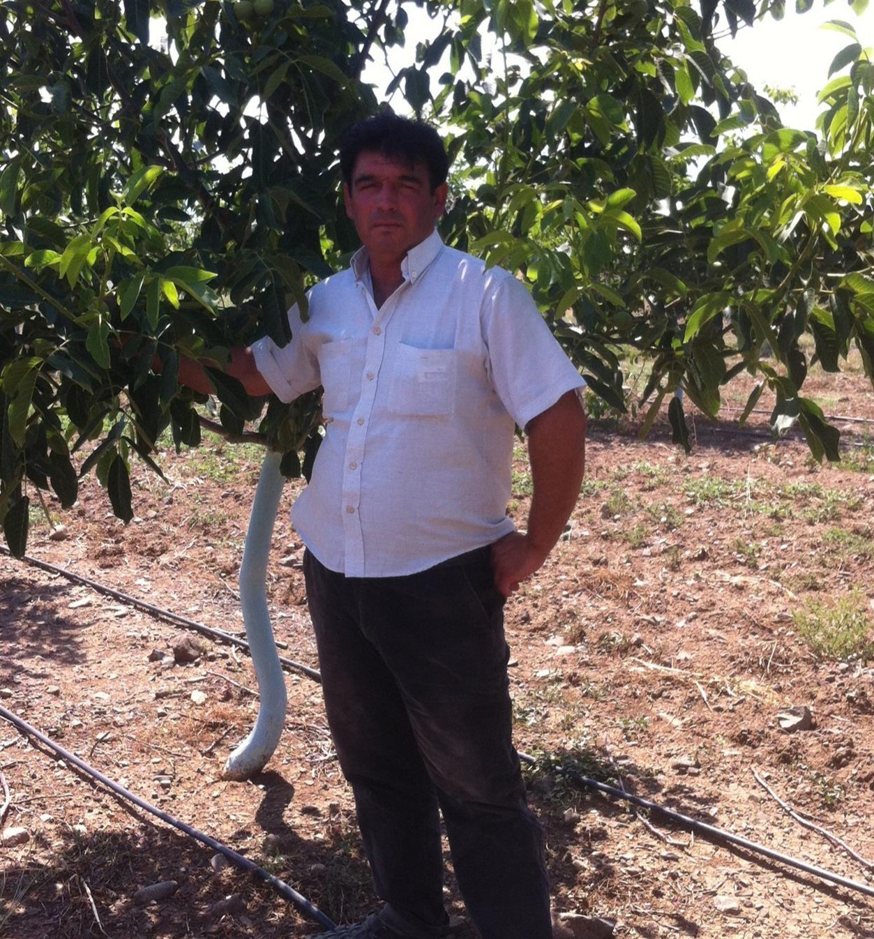 Üzüm Bağında Canice Öldürüldü! Hatice Baysal’ın Katil Zanlısının Hts Kayıtları Incelenecek (2)