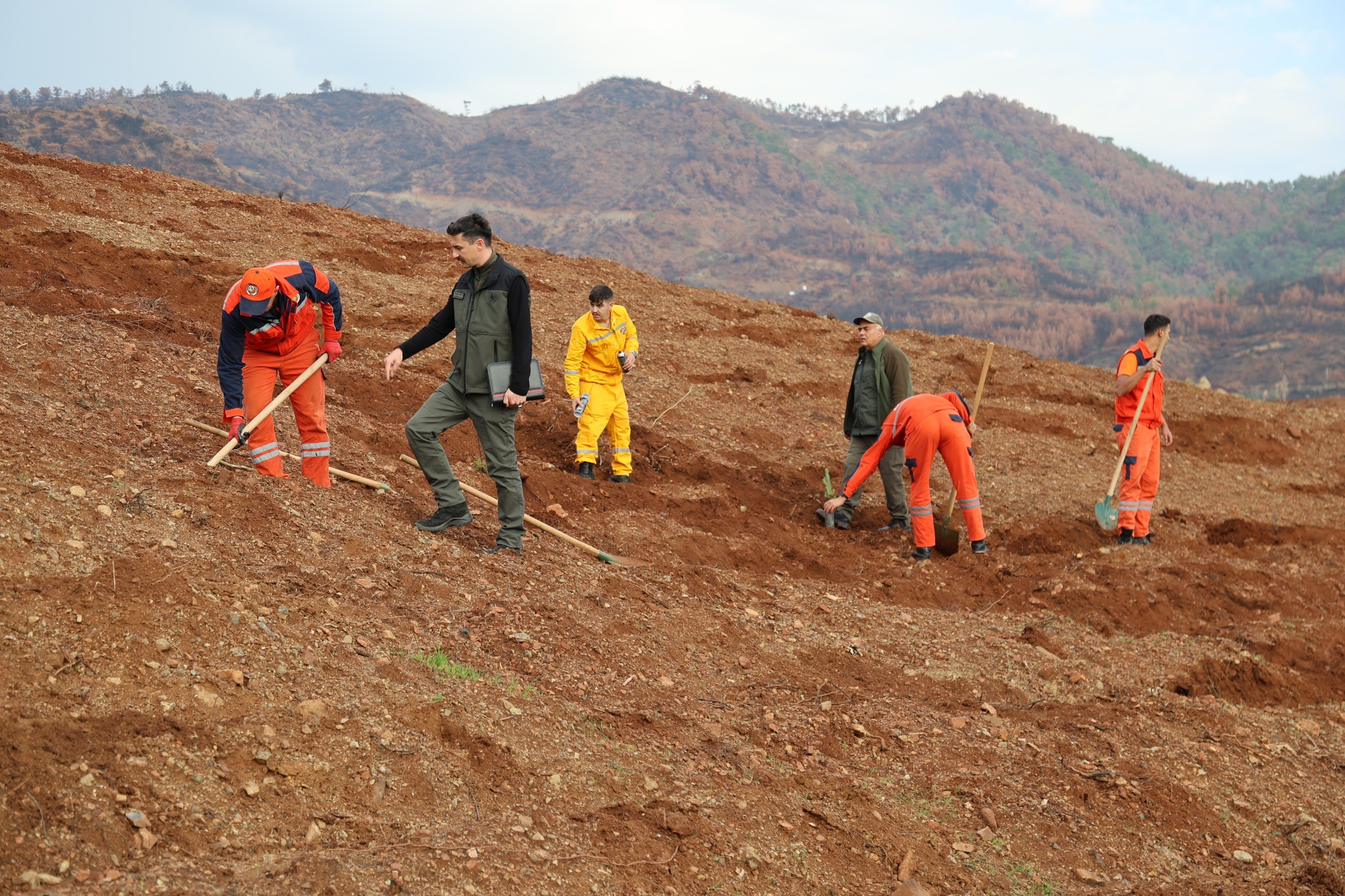 Yesil Vatan Icin Tek Yurek 30 Noktada Ayni Anda Fidan Dikimi Yapilacak 03