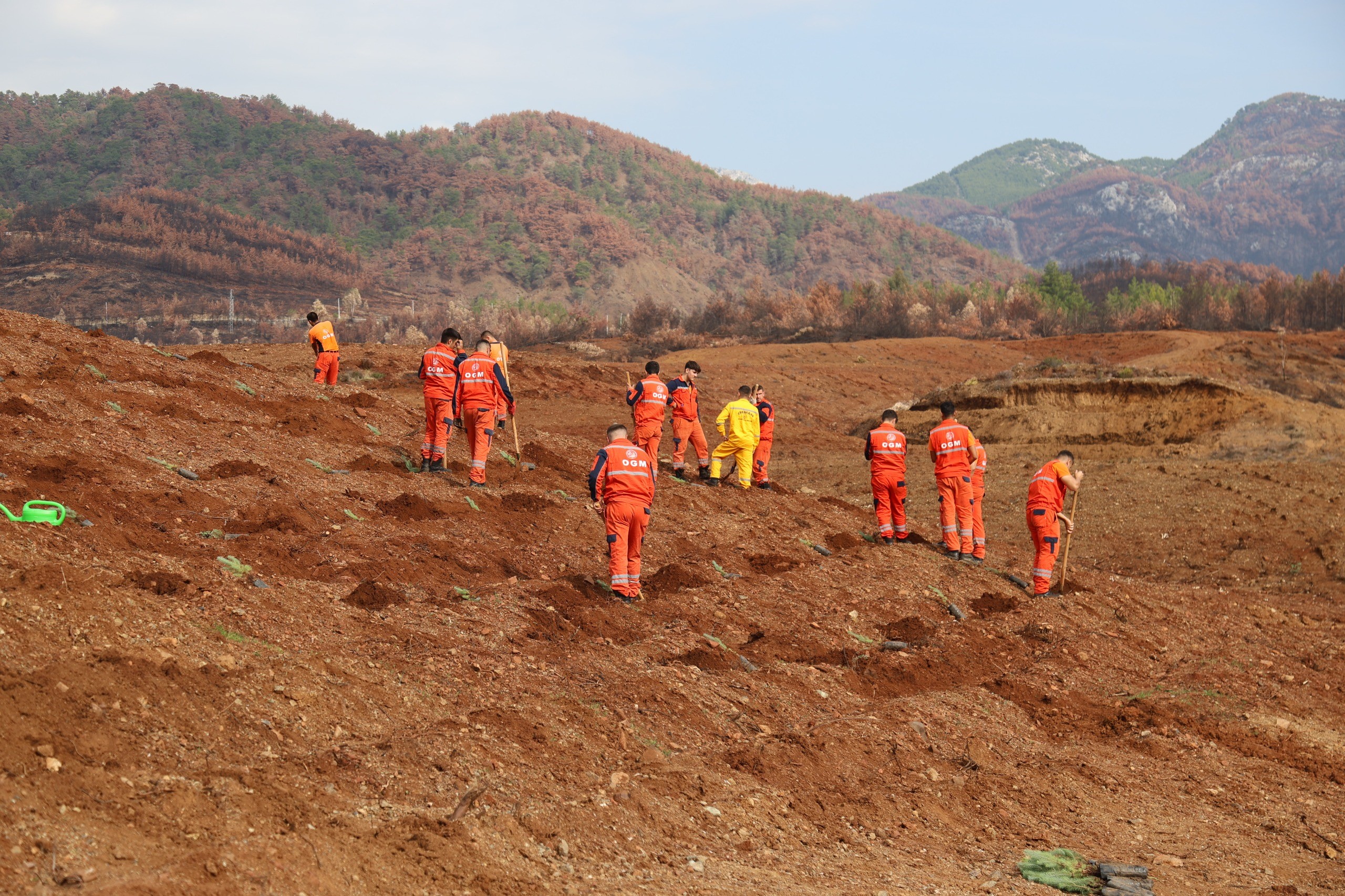 Yesil Vatan Icin Tek Yurek 30 Noktada Ayni Anda Fidan Dikimi Yapilacak 06
