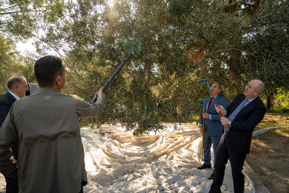 Zeytin Bahcesinde Buyuk Bulusma Toplanan Her Tane Egitime (1)