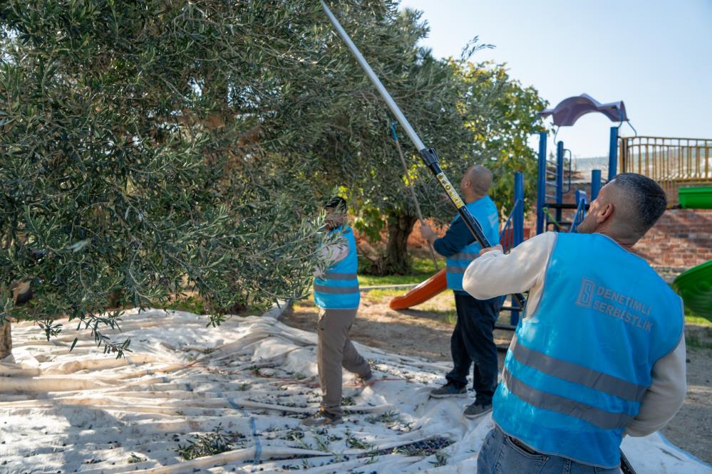 Zeytin Bahcesinde Buyuk Bulusma Toplanan Her Tane Egitime (3)