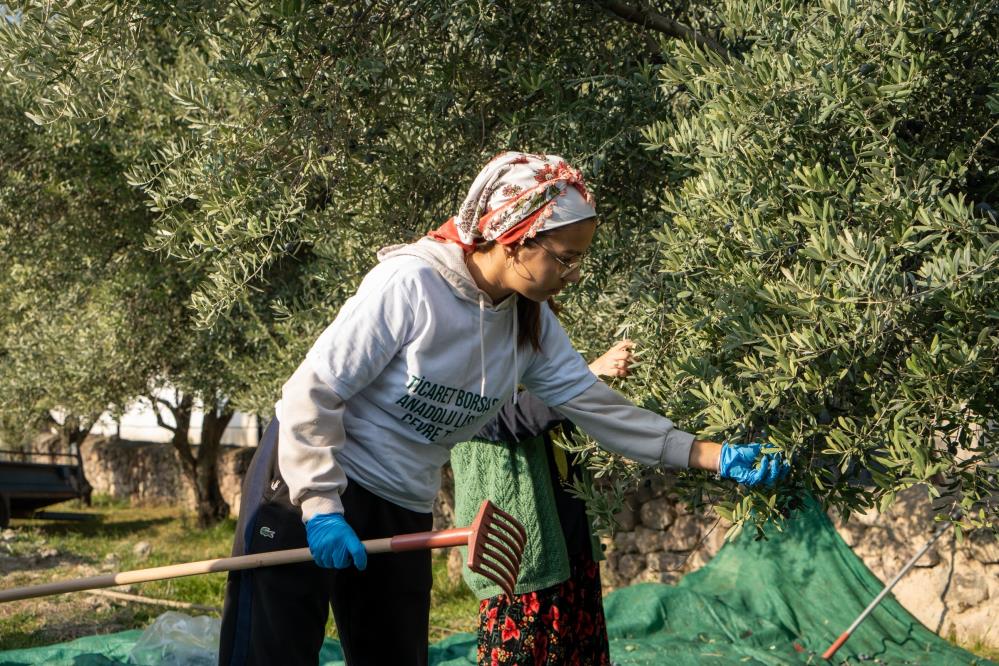 Zeytin Bahcesinde Buyuk Bulusma Toplanan Her Tane Egitime (6)