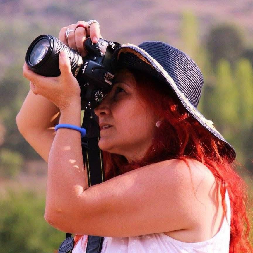 05Dc9C53 B46E 4402 Ae99 F5F6Bba5Ab79