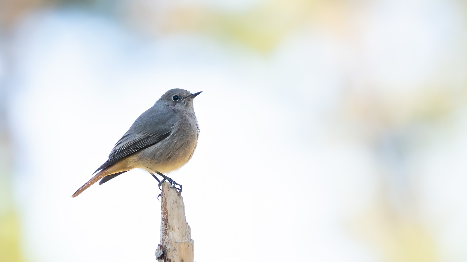 5F82736E 0A7E 43D2 93F7 2B01Be672Dcf