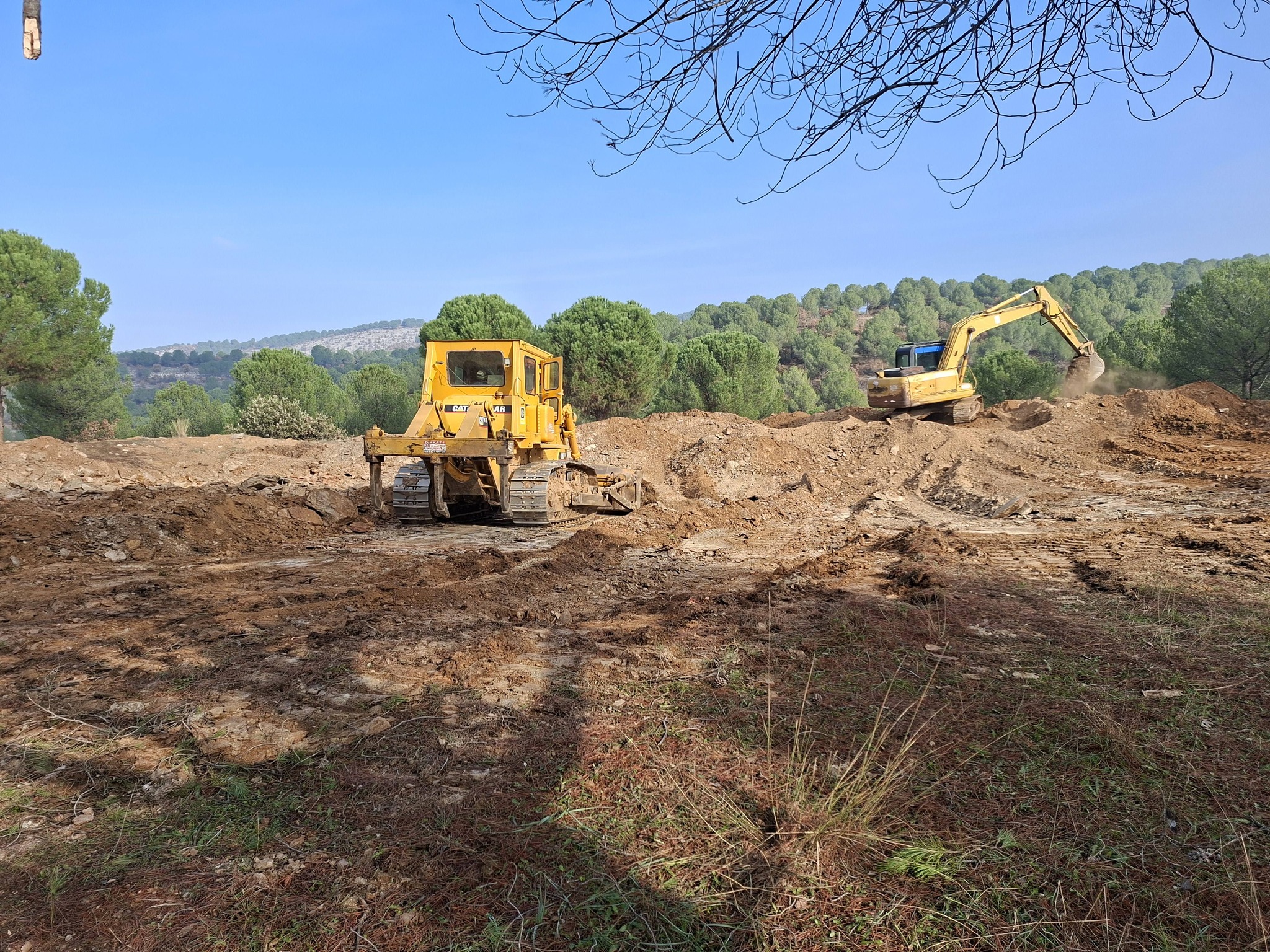 600360233 25246557678358575 1922474411769895704 N