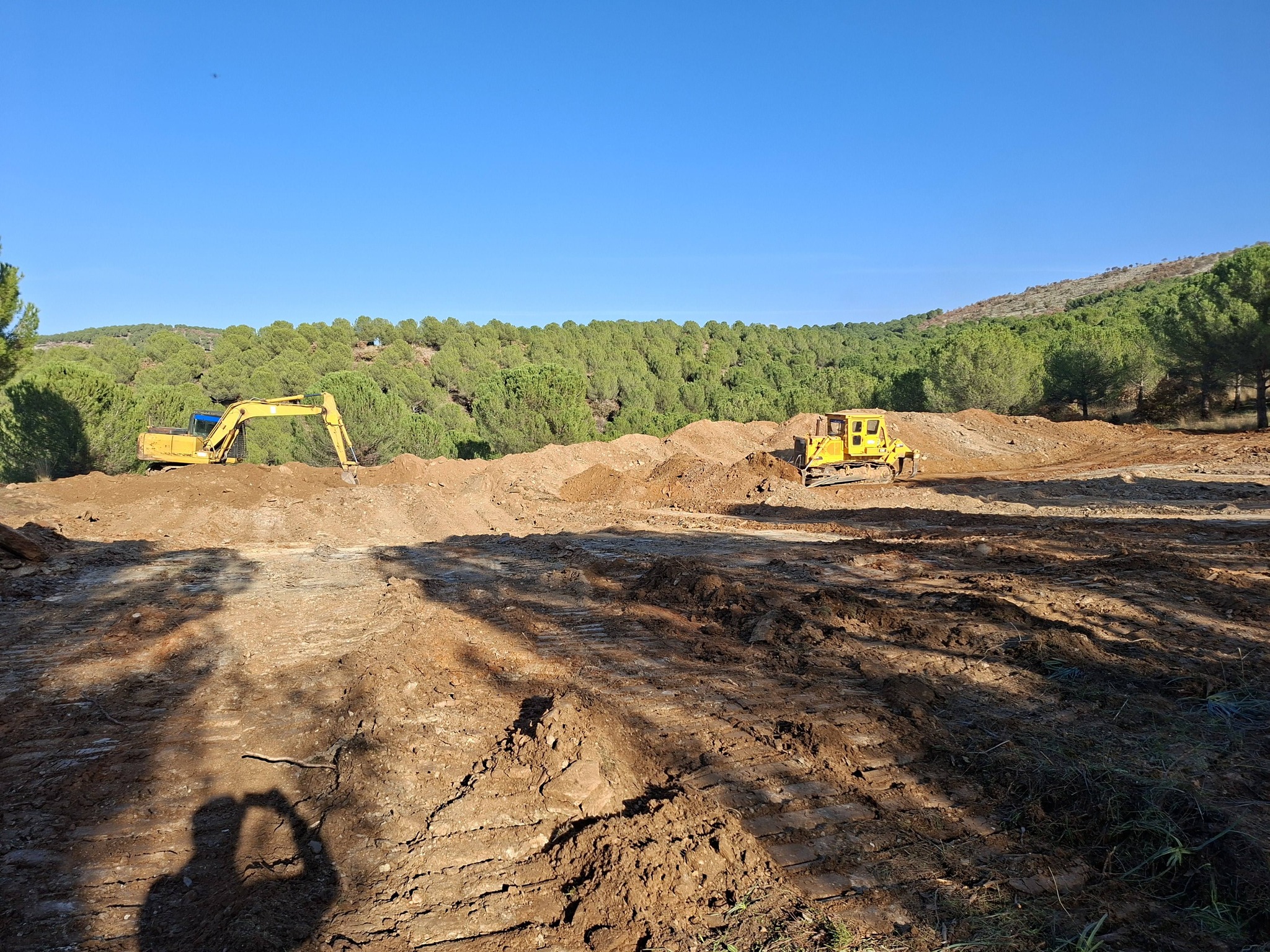 600377286 25246558621691814 7148839641784235687 N