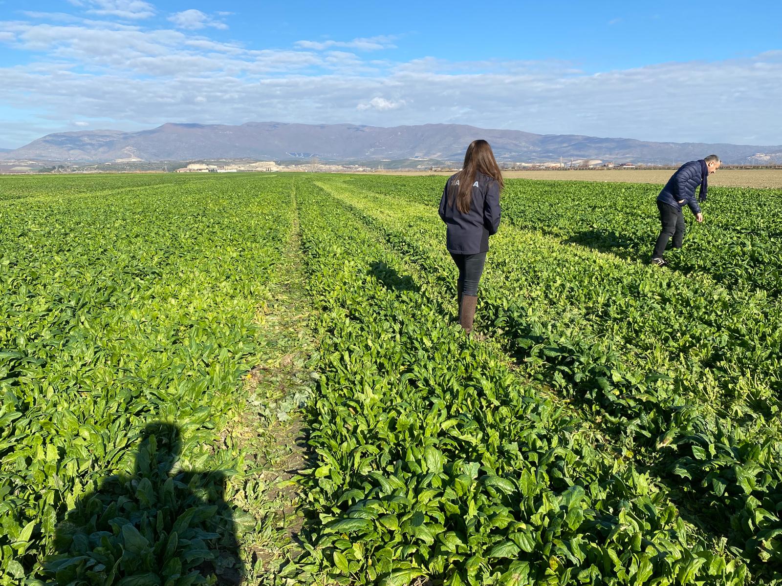 605628982 1362664419239543 1406353020565647611 N