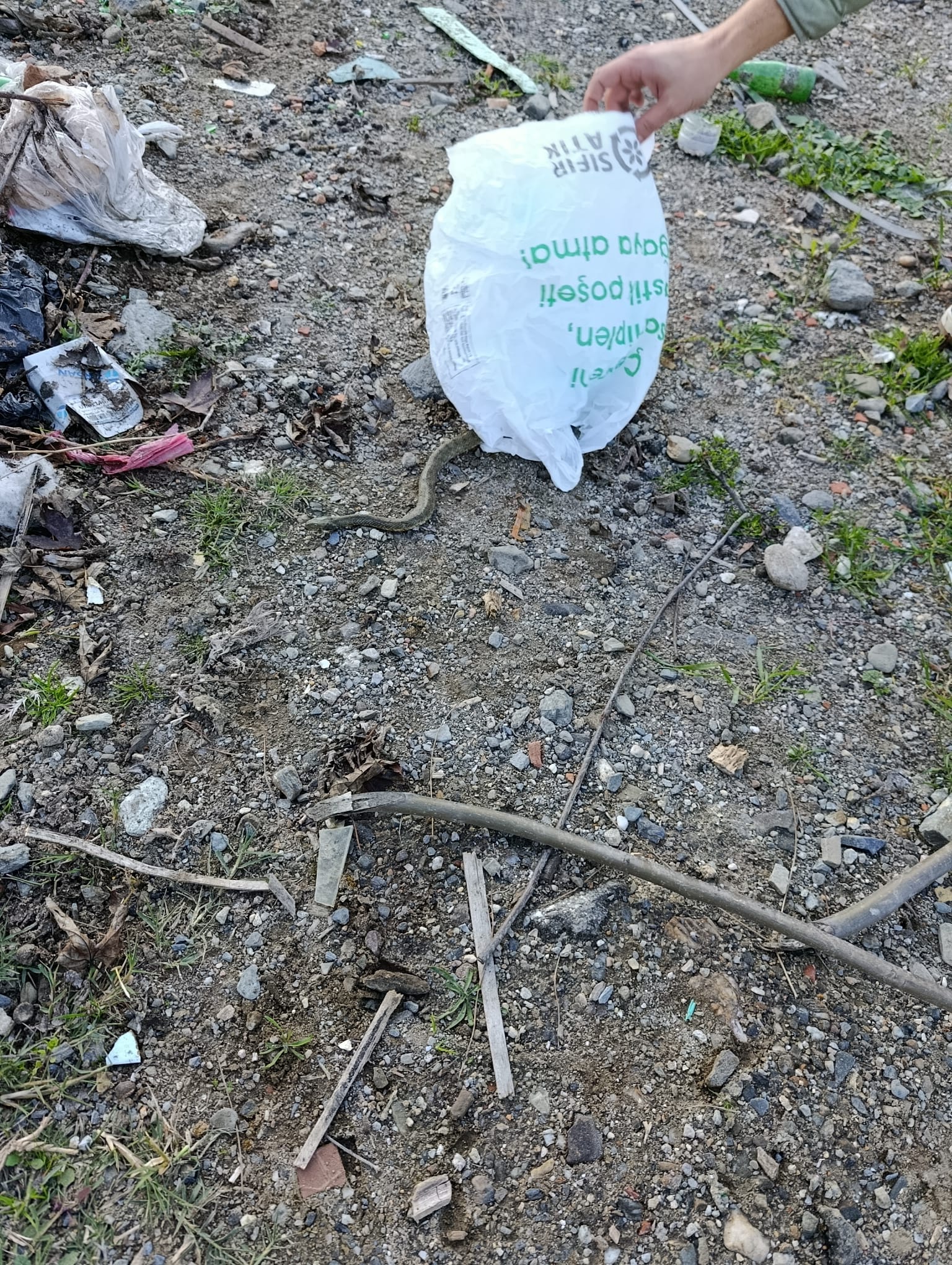 60574007 1Bb4 442D B9C0 0Fcabb9B511D