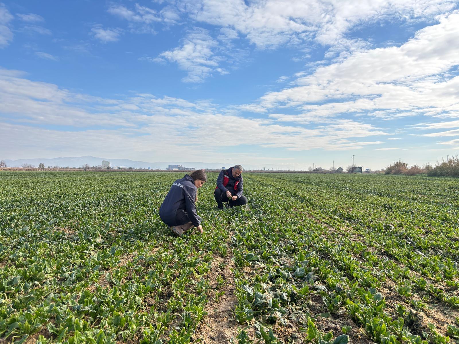 605779122 1362664415906210 4623162900131541350 N