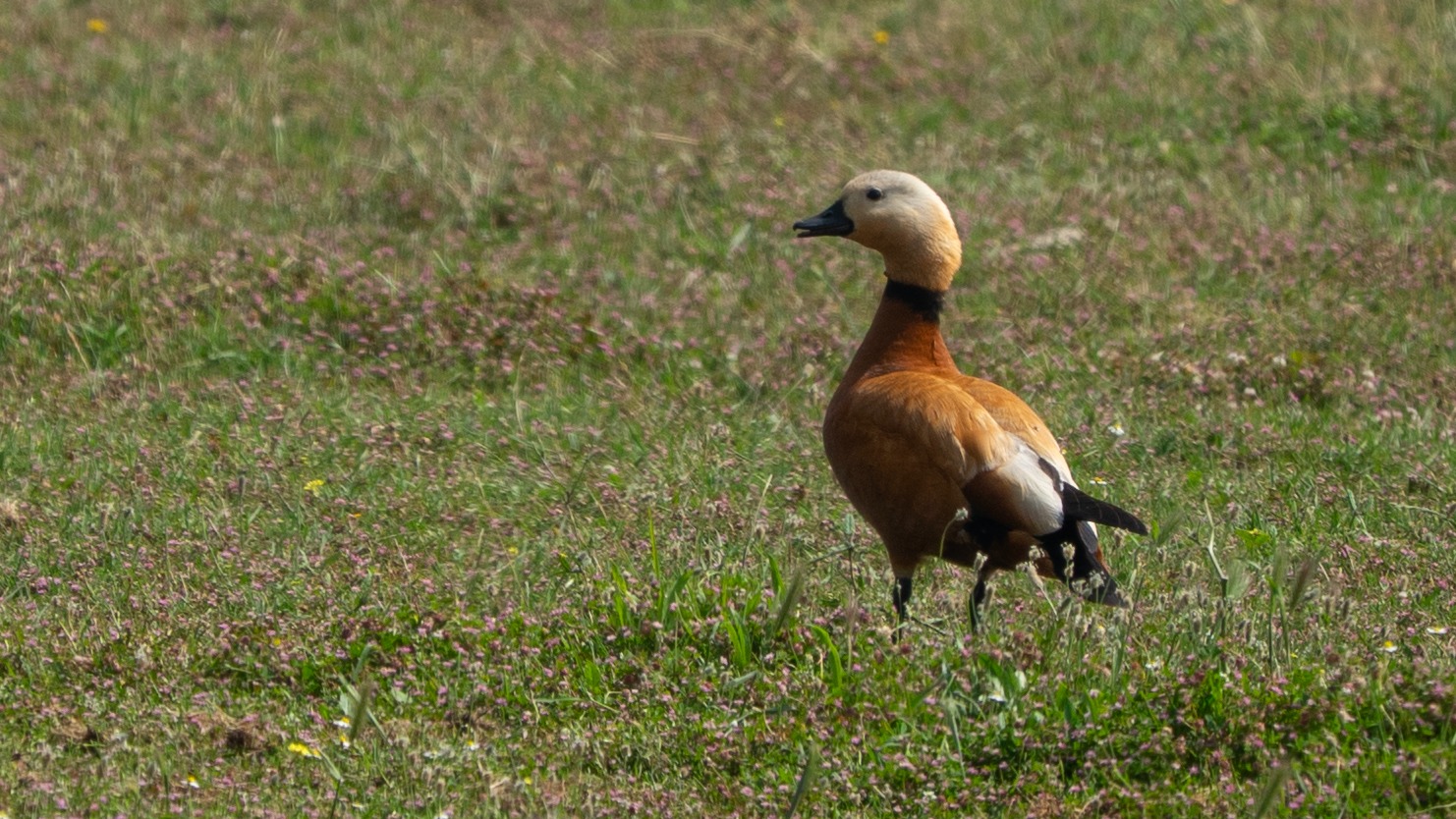 6469D1B8 719B 4Ea2 98Bd 6B8D23D21509