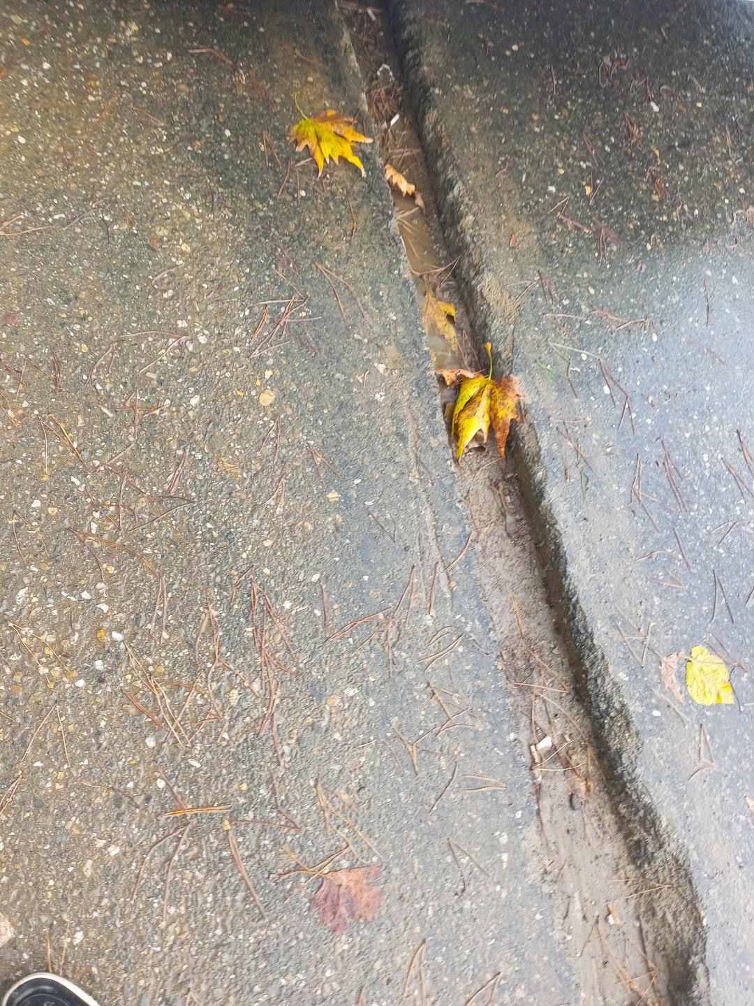 65575Fe3 F6Cc 4E6D 854D 13Fc51Ea0B77