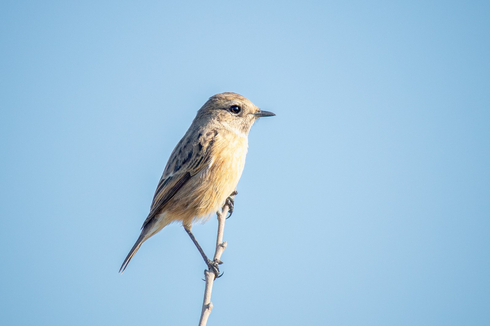 6Afaa5A8 C93E 468D B680 04047D5F37D4