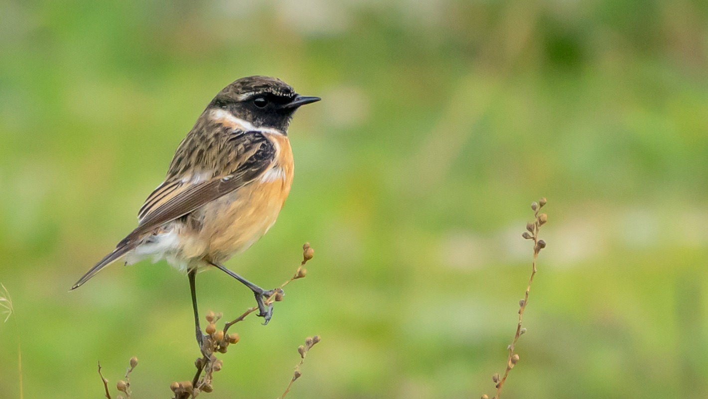 8D21D120 192C 4F6B 9D91 77B0Ea47Cb7B