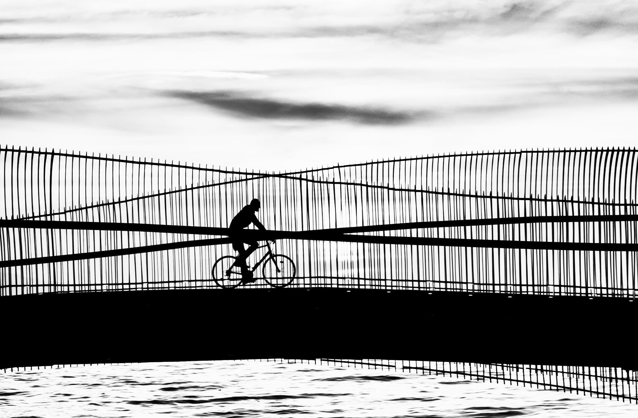 8E365D82 2519 44D5 8109 75F7Db52A039