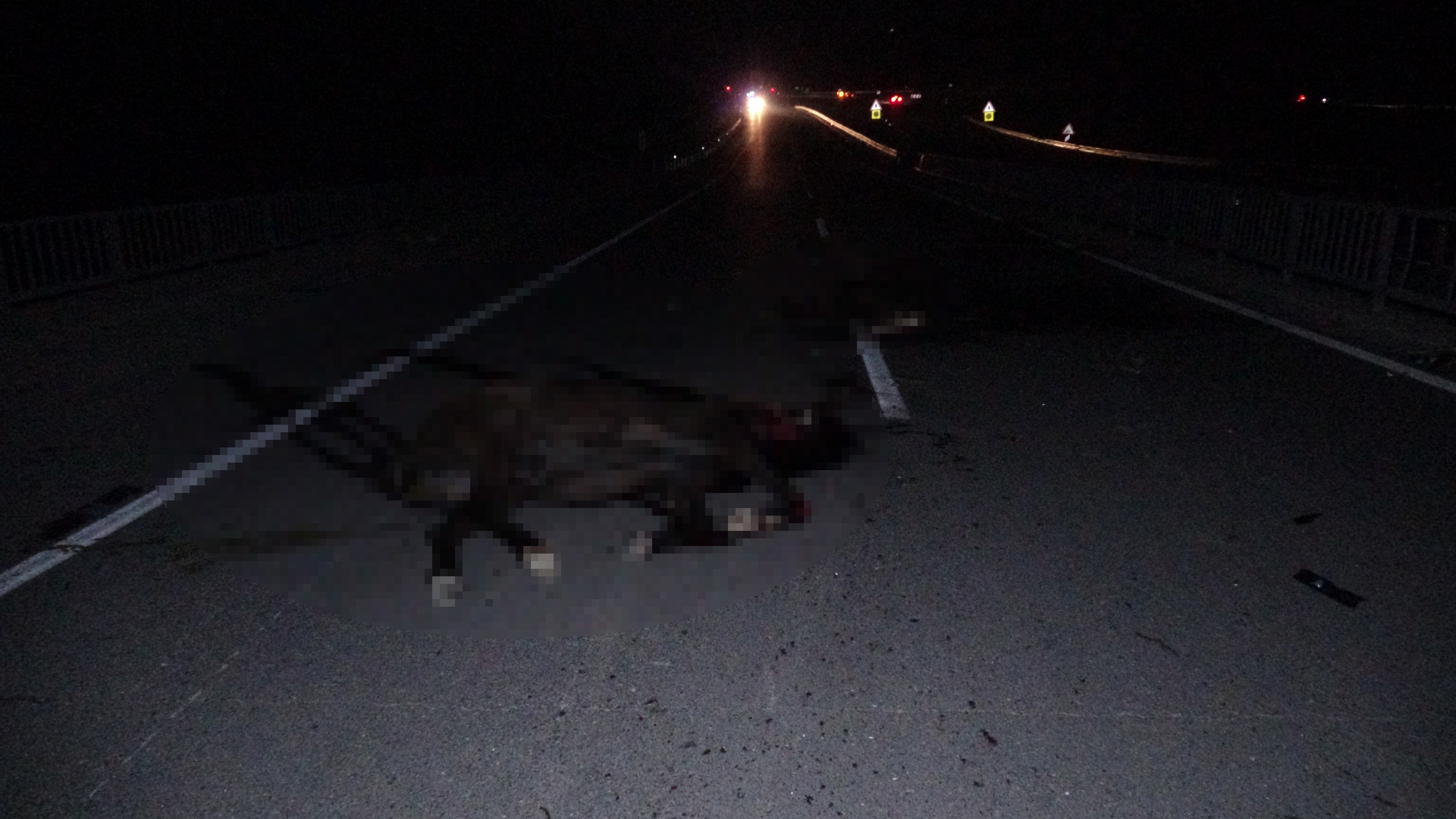 Aksam Saatlerinde Kabus Yasandi Milyonluk Yaris Atlari Telef Oldu 02