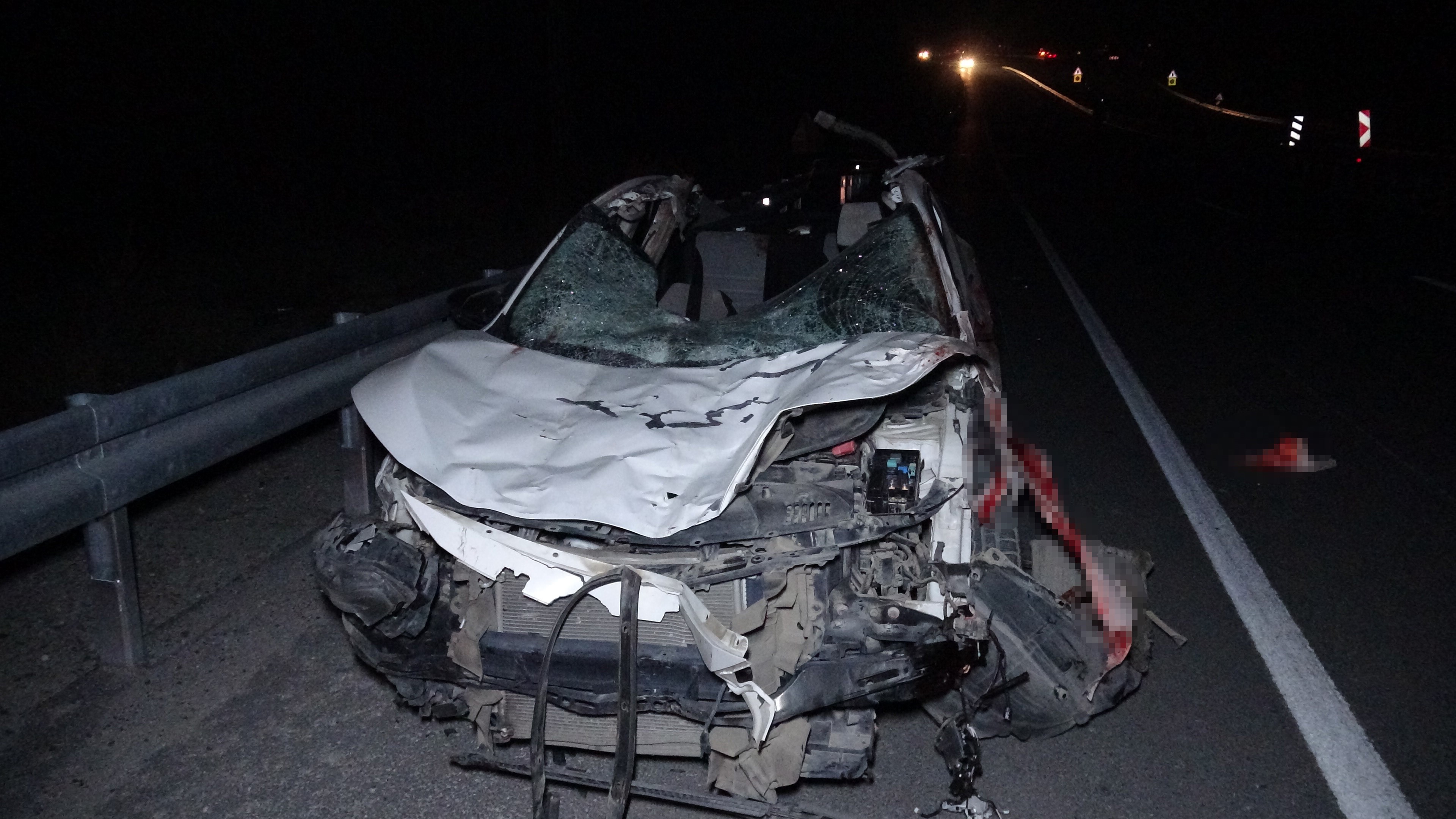 Aksam Saatlerinde Kabus Yasandi Milyonluk Yaris Atlari Telef Oldu 04