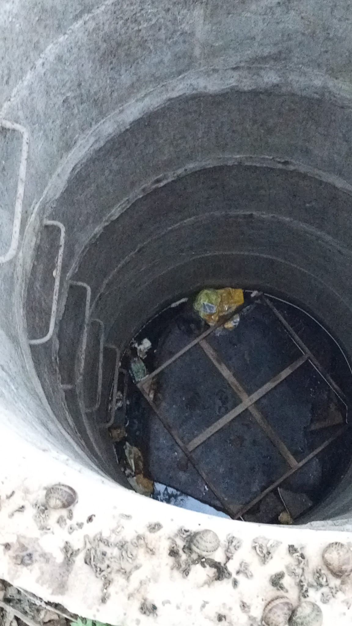 Anne Kedinin Feryadi Sonuc Verdi Yavru Itfaiye Tarafindan Kurtarildi (2)