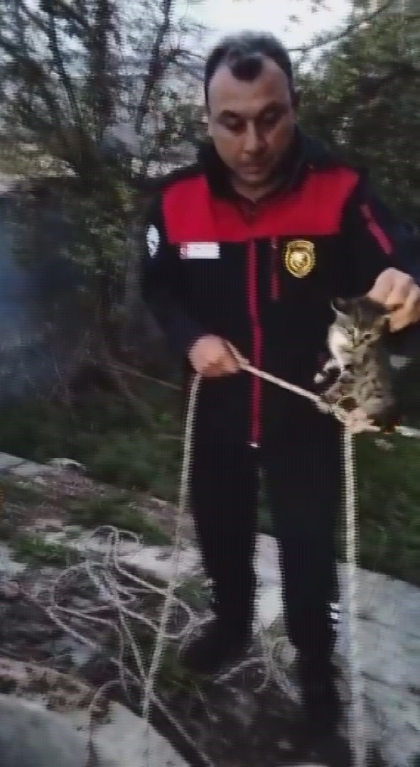 Anne Kedinin Feryadi Sonuc Verdi Yavru Itfaiye Tarafindan Kurtarildi (4)